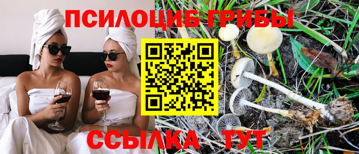 Галлюциногенные грибы прущие грибы Верхняя Салда