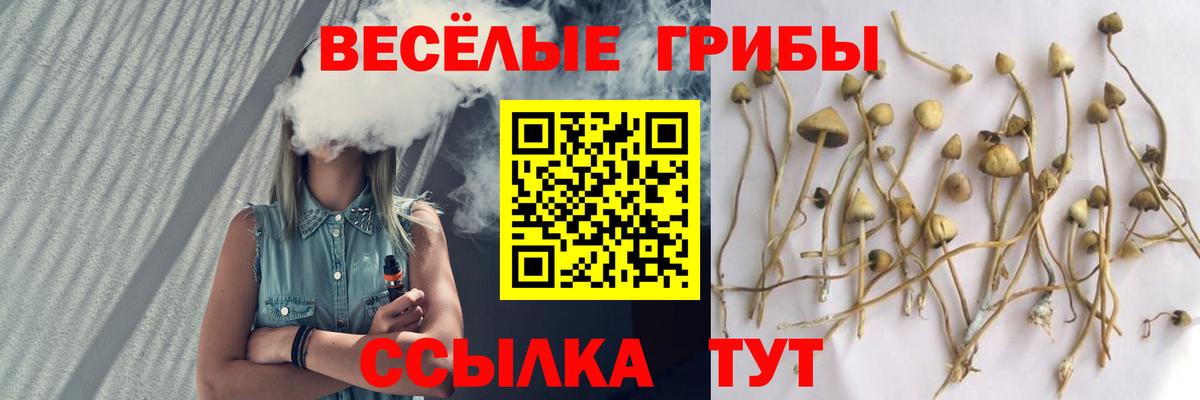 Верхняя Салда  Галлюциногенные грибы прущие грибы  Вход с VPN 